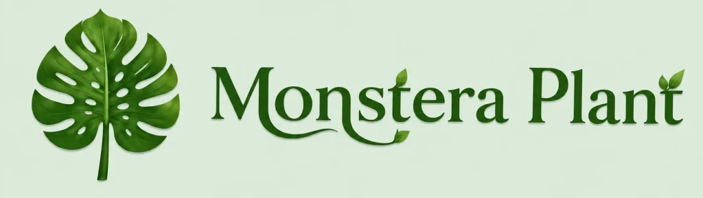 monstera plant